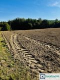 Działka budowlana Cierpisz. Zdjęcie 4