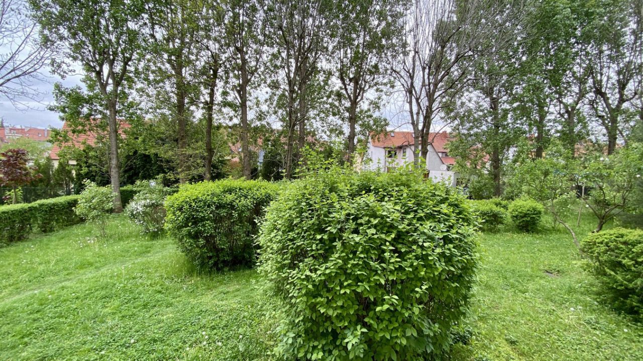 Mieszkanie 2-pokojowe Opole Śródmieście, ul. Gabrieli Zapolskiej. Zdjęcie 2