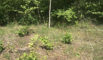 Działka budowlana Gniewomirowice