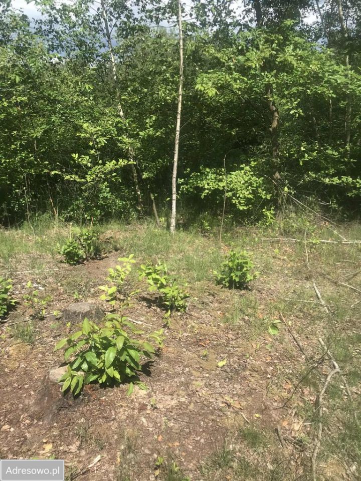 Działka budowlana Gniewomirowice. Zdjęcie 2