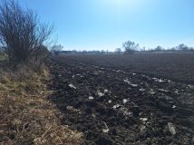 Działka inwestycyjna Szymanów. Zdjęcie 2