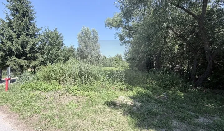 Działka budowlana Poręba-Kocęby