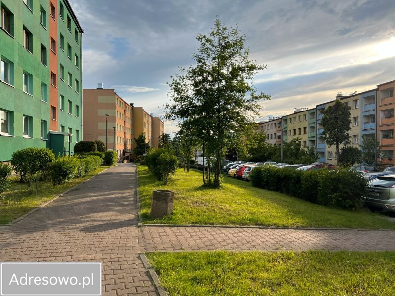 Mieszkanie 2-pokojowe Dąbrowa Górnicza Gołonóg, ul. Walentyny Tierieszkowej. Zdjęcie 4