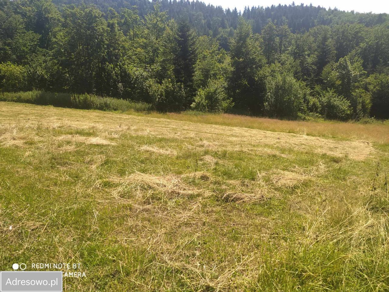 Działka budowlana Mordarka. Zdjęcie 4