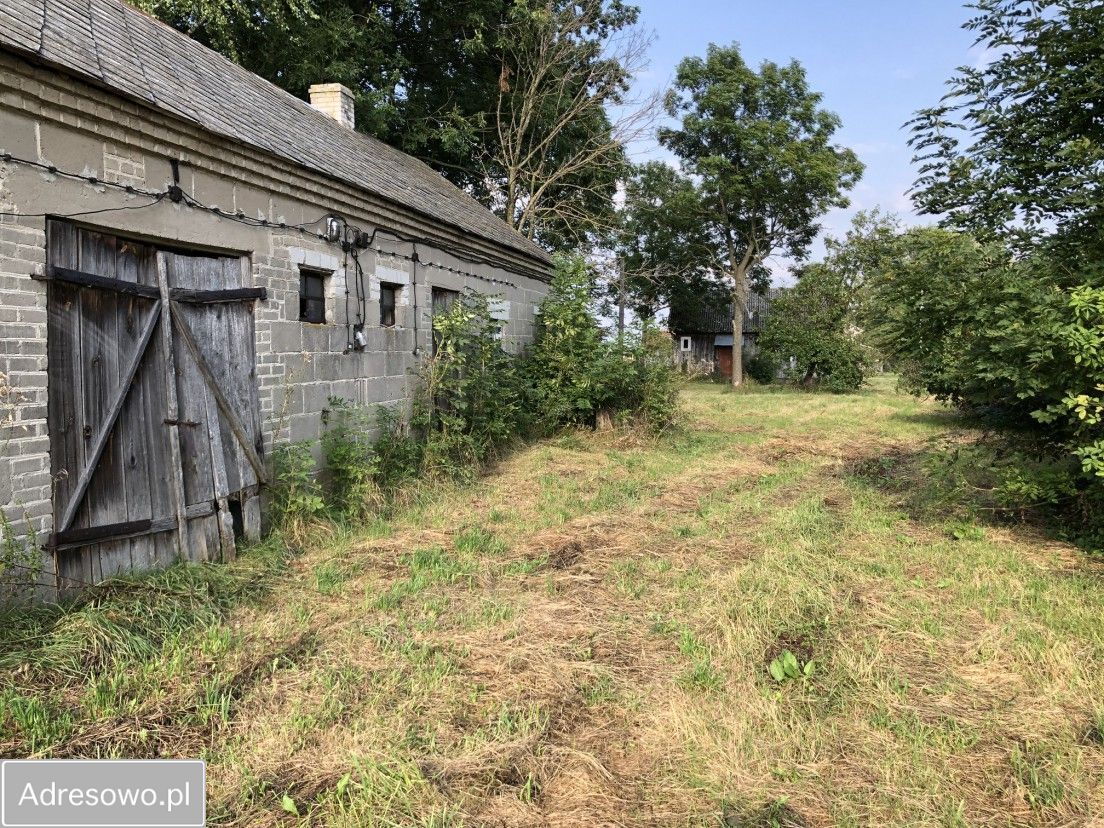 Działka siedliskowa Dzierzby Szlacheckie. Zdjęcie 4