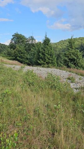 Działka budowlana Kocierz Rychwałdzki. Zdjęcie 1