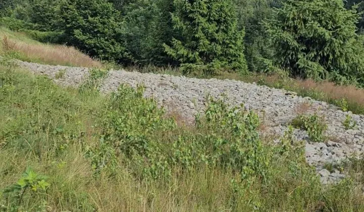 Działka budowlana Kocierz Rychwałdzki, ul. Letnia