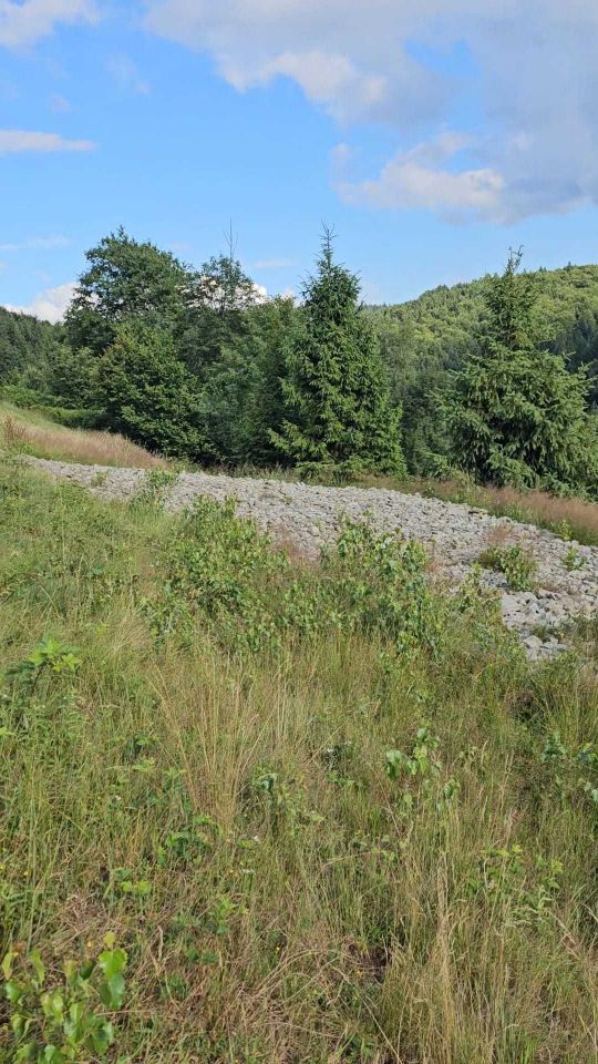 Działka budowlana Kocierz Rychwałdzki