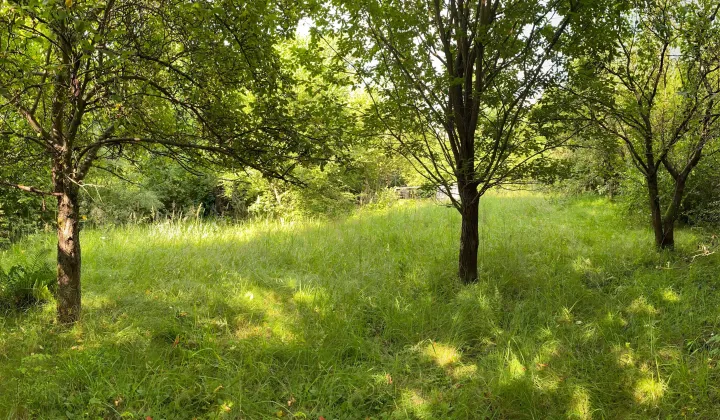 Działka rod Katowice Ligota