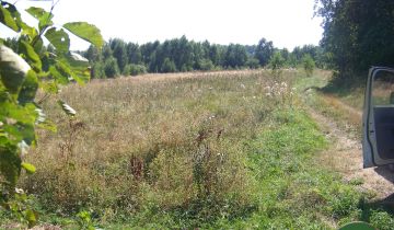 Działka rekreacyjna Lipiny