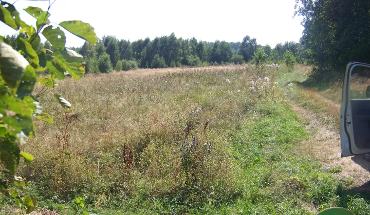 Działka rekreacyjna Lipiny