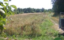 Działka rekreacyjna Lipiny