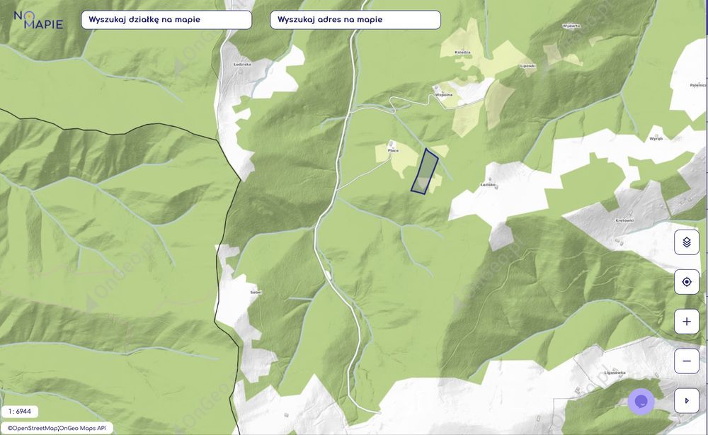 Działka rolna Brzyna. Zdjęcie 2