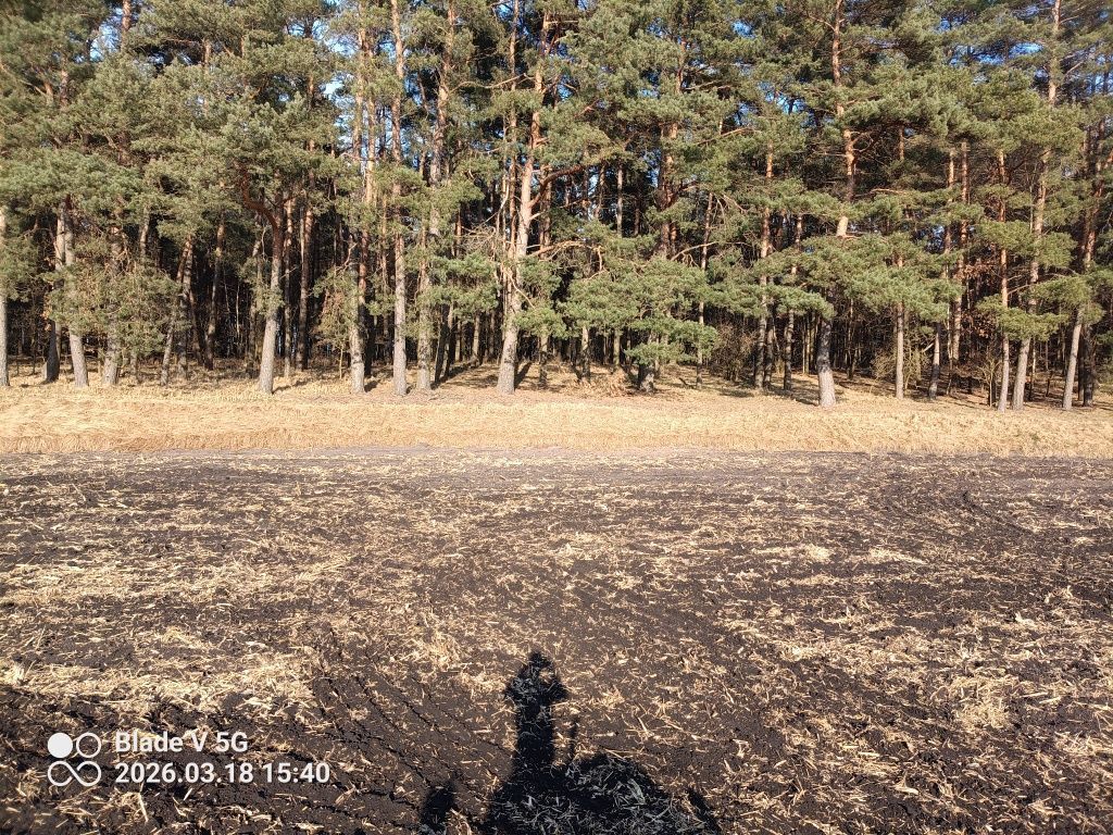 Działka rekreacyjna Małe Pułkowo. Zdjęcie 2