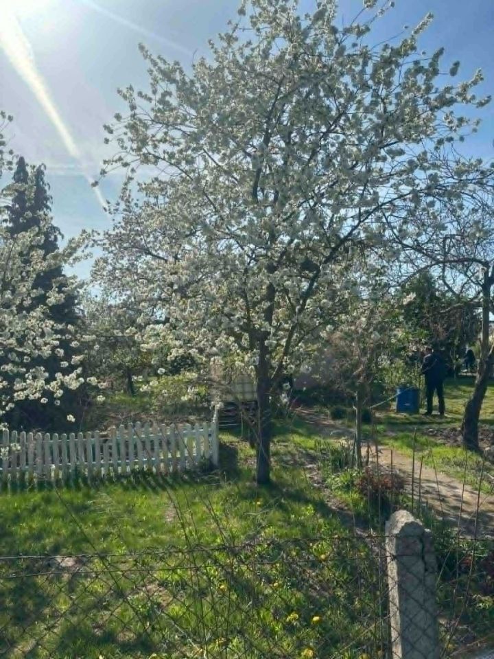 Działka rod Stargard, ul. Grudziądzka. Zdjęcie 4