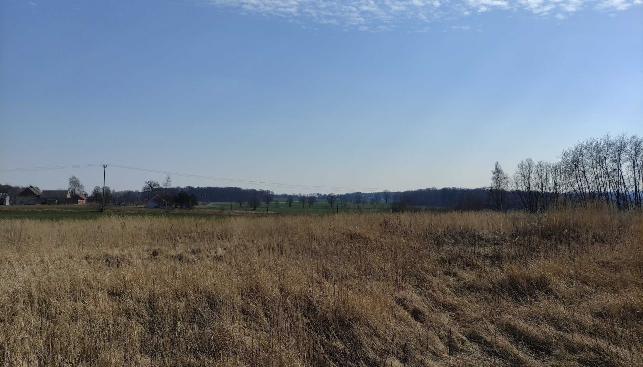 Działka budowlana Witków. Zdjęcie 8