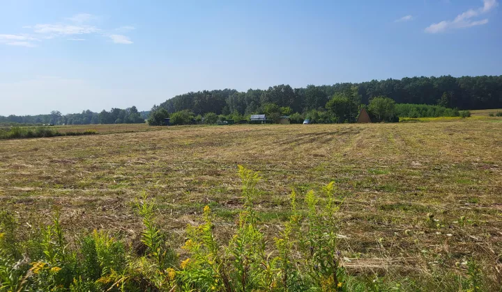 Działka budowlana Dąbrowa Tarnowska Bagienica, ul. Ulinów