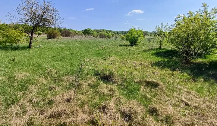 Działka rolna Skronina