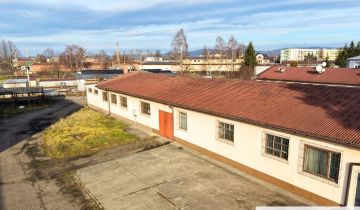 Lokal Krosno, ul. Kazimierza Pużaka