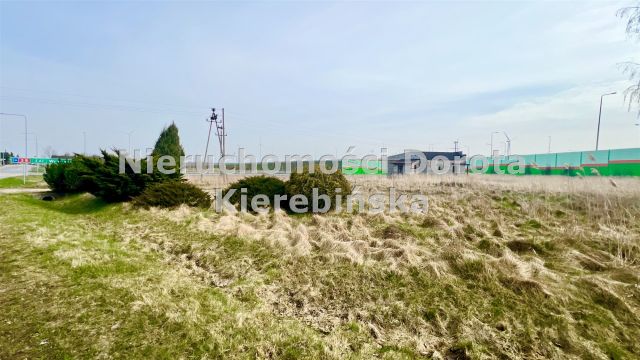 Działka Polichno. Zdjęcie 22