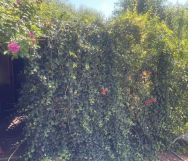 Działka rekreacyjna Jaroszowice Zbywaczówka. Zdjęcie 2