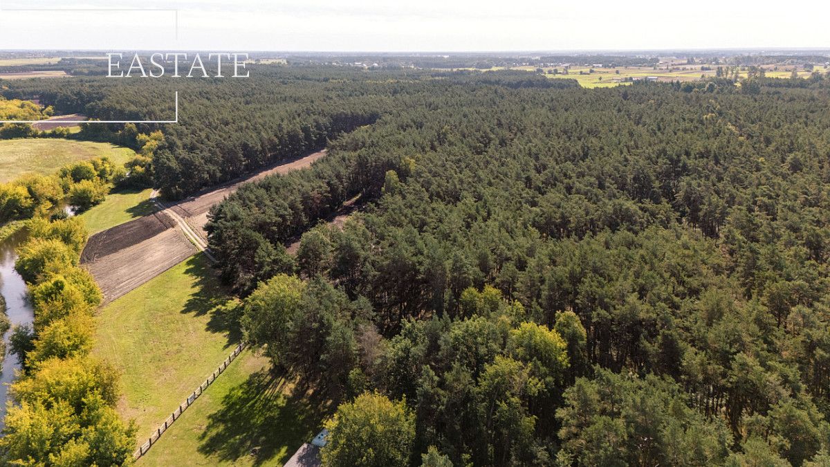 Działka leśna Maurzyce. Zdjęcie 5