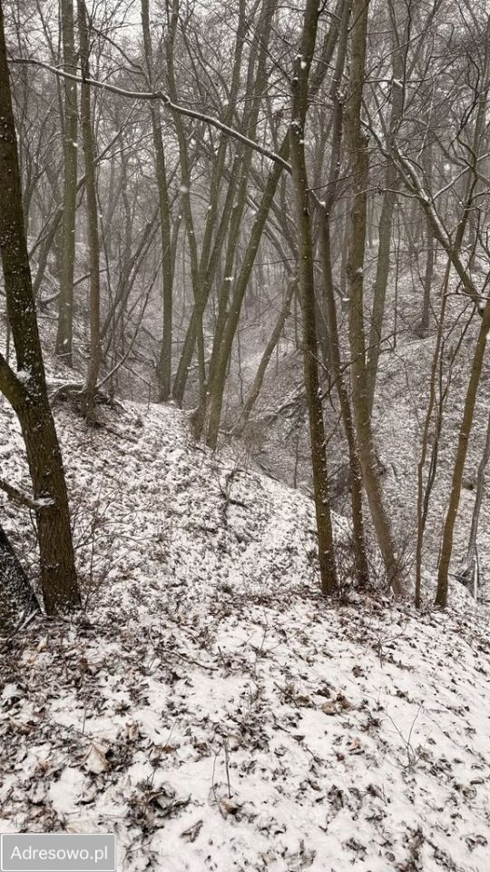Działka budowlana Ostromecko. Zdjęcie 15