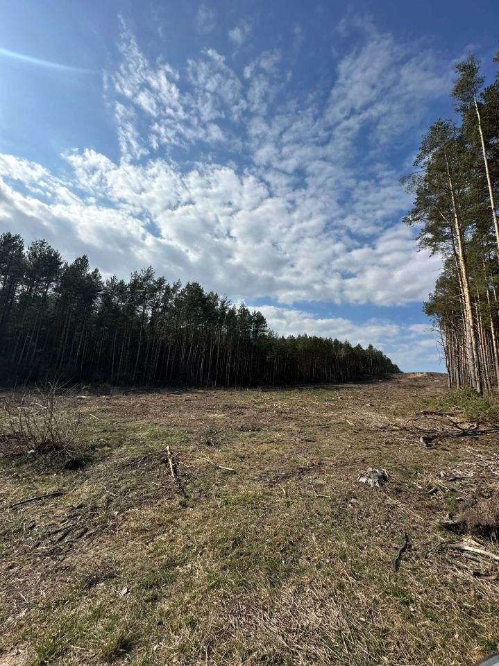 Działka leśna Zaręby-Jartuzy. Zdjęcie 6