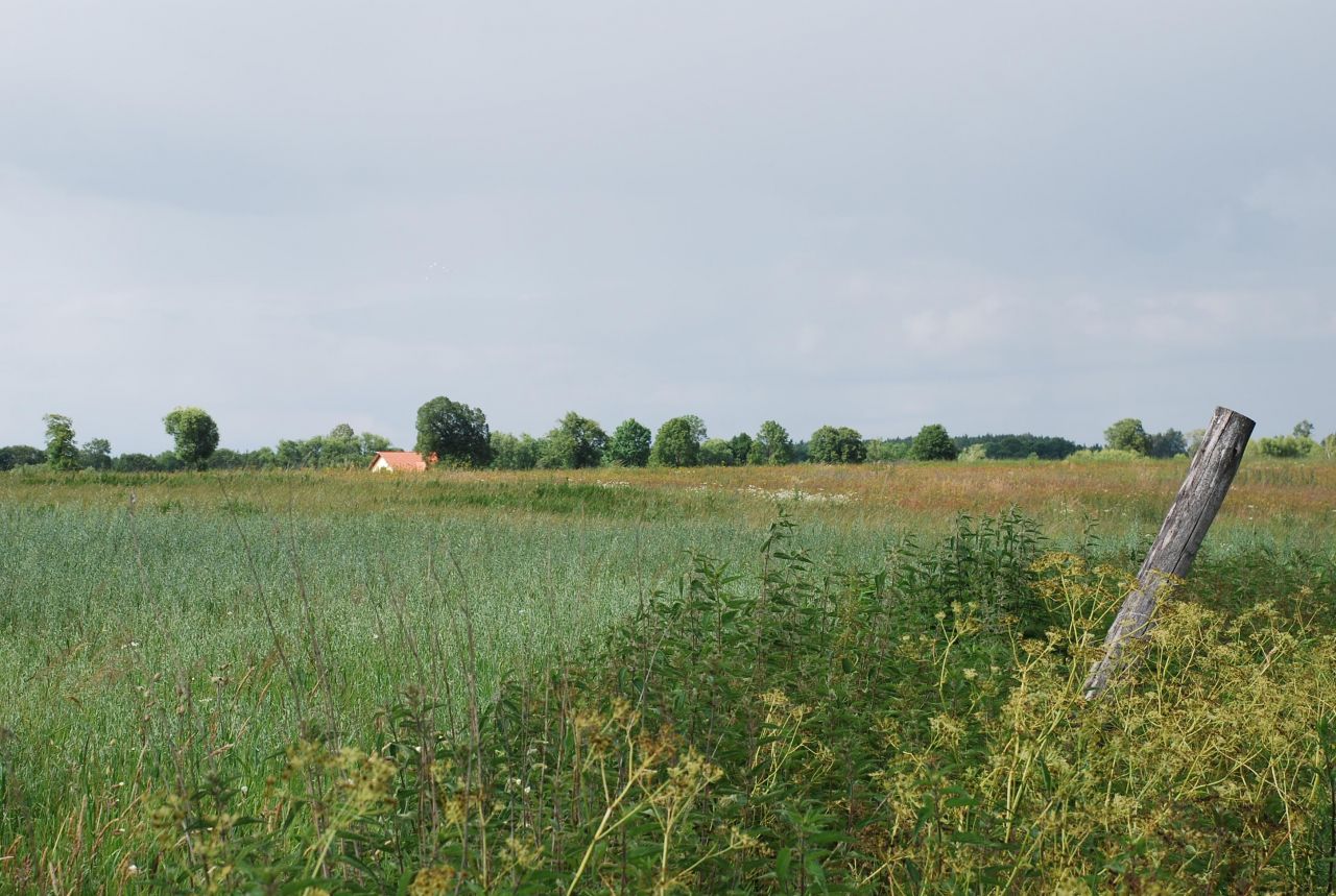 Działka budowlana Żeleźnica. Zdjęcie 2