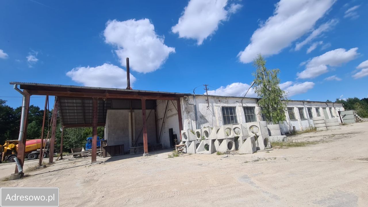 Hala/magazyn Mrozy, ul. Nadrzeczna. Zdjęcie 16