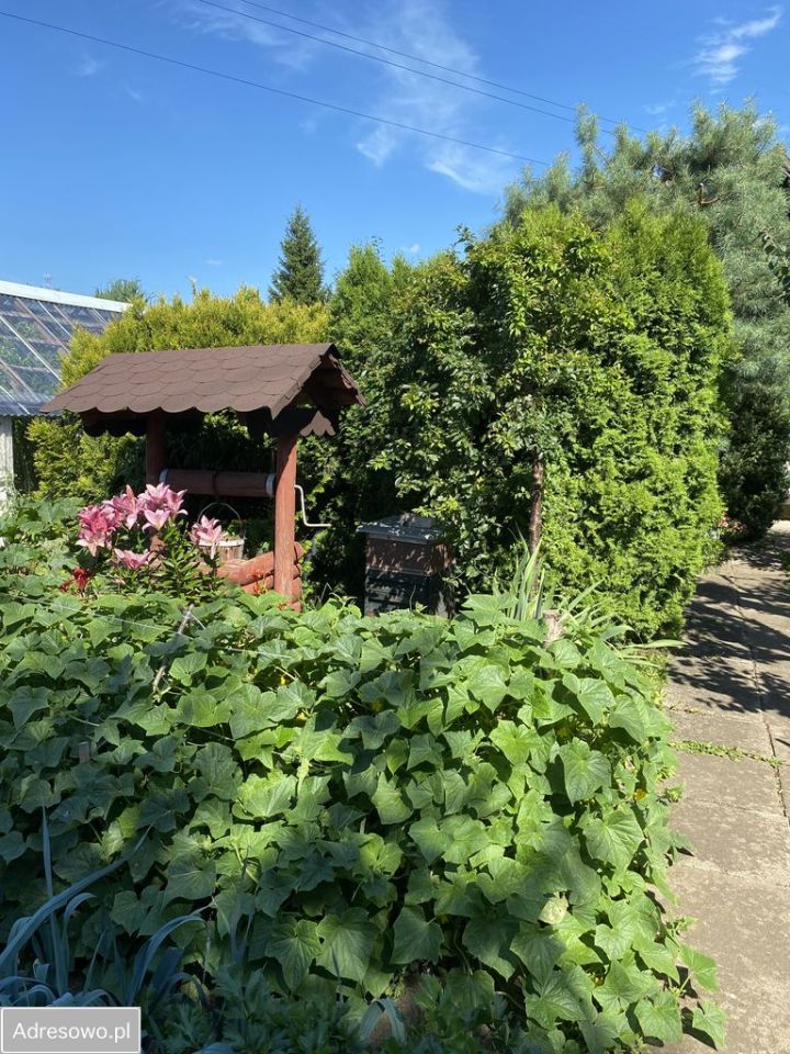 Działka rod Białystok Antoniuk, ul. Świętokrzyska