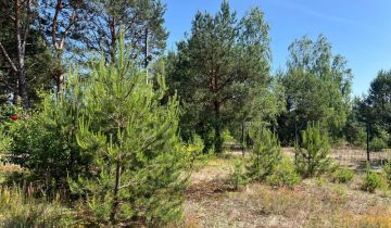 Działka rod Nowe Bosewo