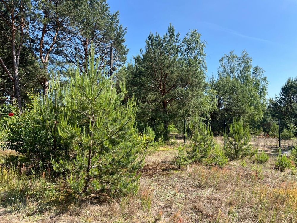 Działka rod Nowe Bosewo. Zdjęcie 2