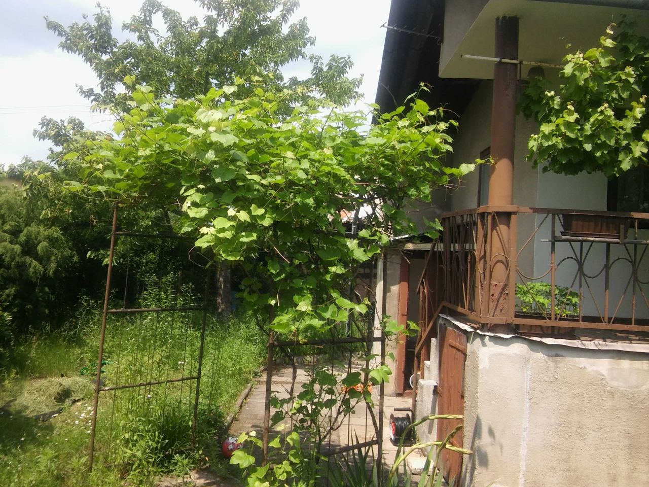 Działka rod Częstochowa Zawodzie, ul. Bratnia. Zdjęcie 3