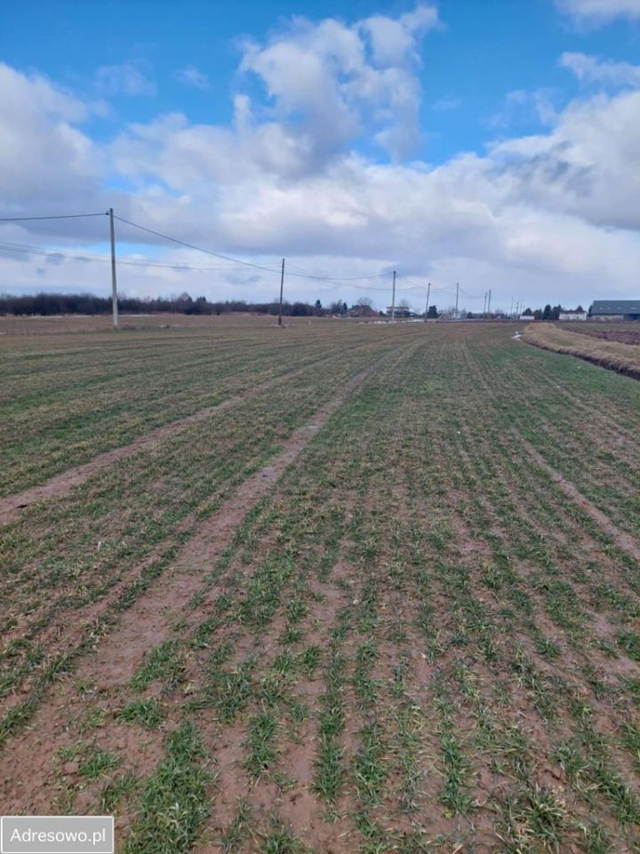 Działka rolna Cianowice. Zdjęcie 2