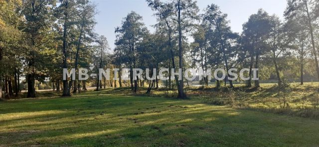 Działka rolna Nowosiedliny. Zdjęcie 5