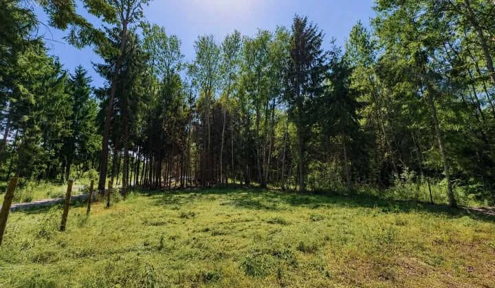 Działka inwestycyjna Ojrzanów