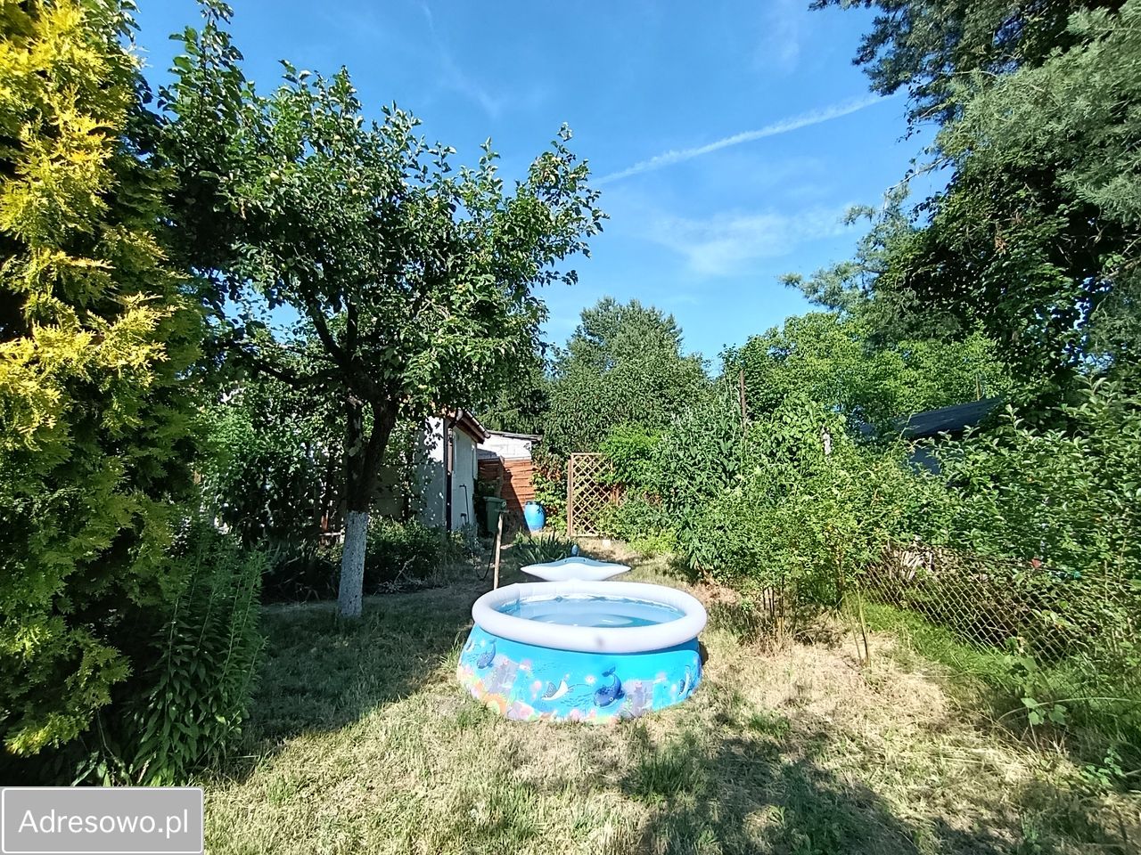 Działka rod Poznań Wilda, ul. Leszczyńska. Zdjęcie 13