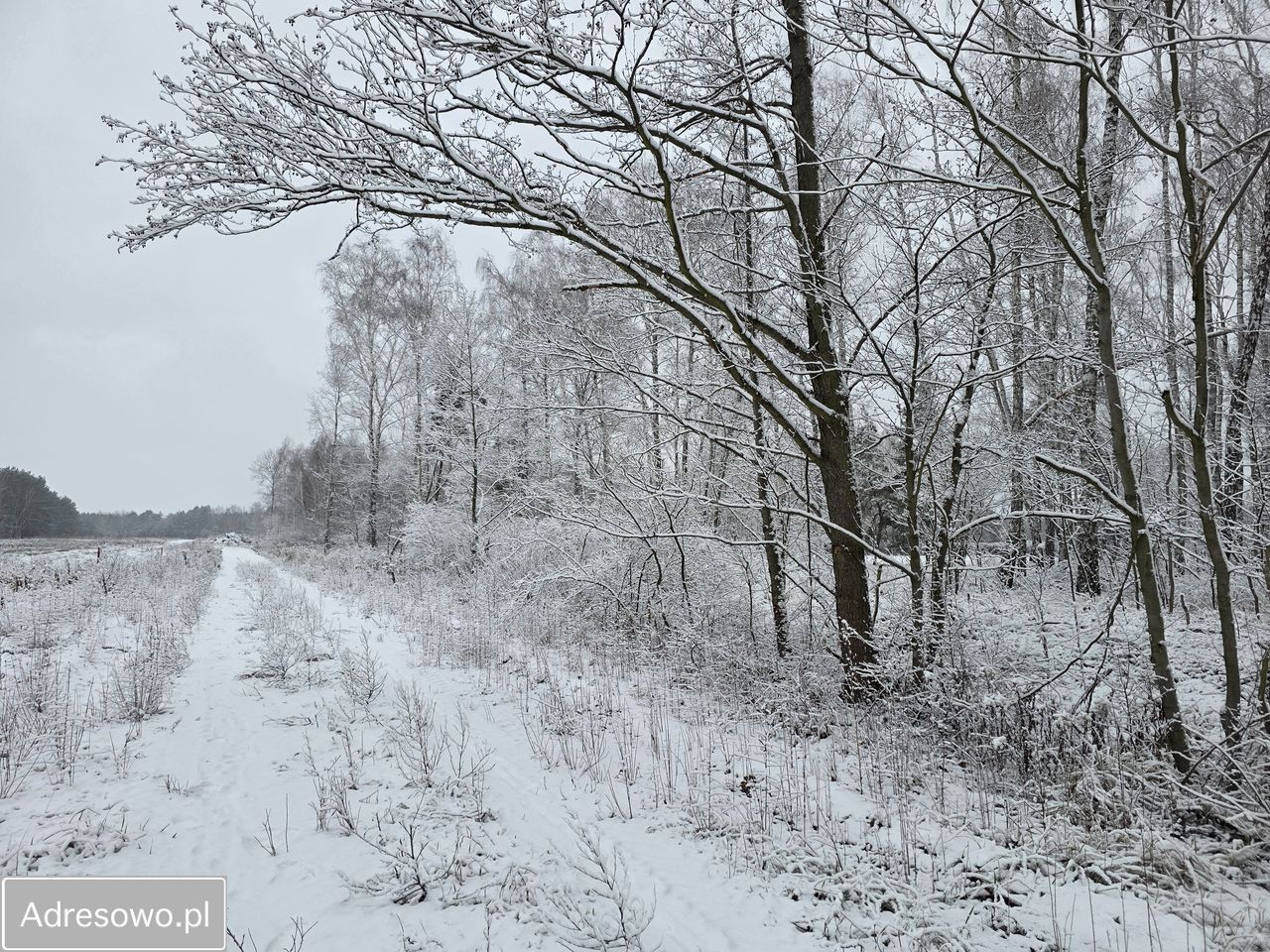 Działka budowlana Zazdrość, ul. Zaciszna. Zdjęcie 6