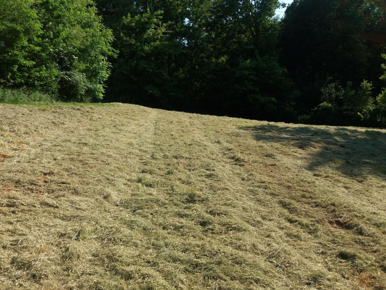 Działka rolna Kraków Podgórze, ul. Stanisława Pronia. Zdjęcie 3