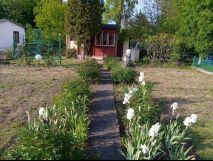 Działka rod Toruń, ul. Rudacka