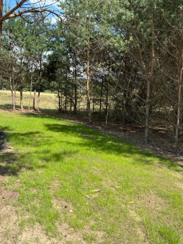 Działka leśna Karczewko. Zdjęcie 1