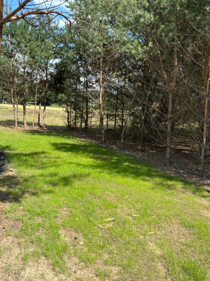 Działka leśna Karczewko