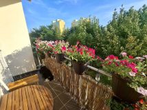 Mieszkanie 2-pokojowe Dzierżoniów, os. Różane. Zdjęcie 4