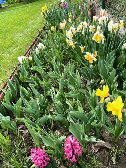 Działka rod Warszawa Mokotów, ul. Łucznicza. Zdjęcie 10