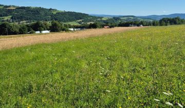 Działka budowlana Grybów Strzylawki