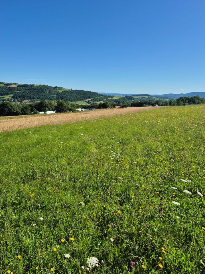 Działka budowlana Grybów Strzylawki. Zdjęcie 2