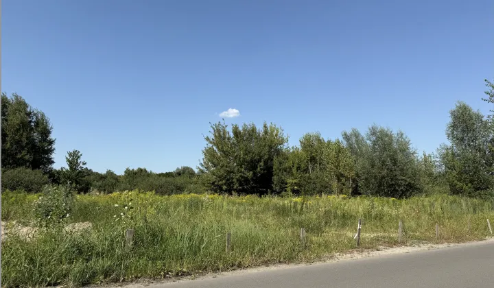 Działka budowlana Warszawa Wawer, ul. Borków