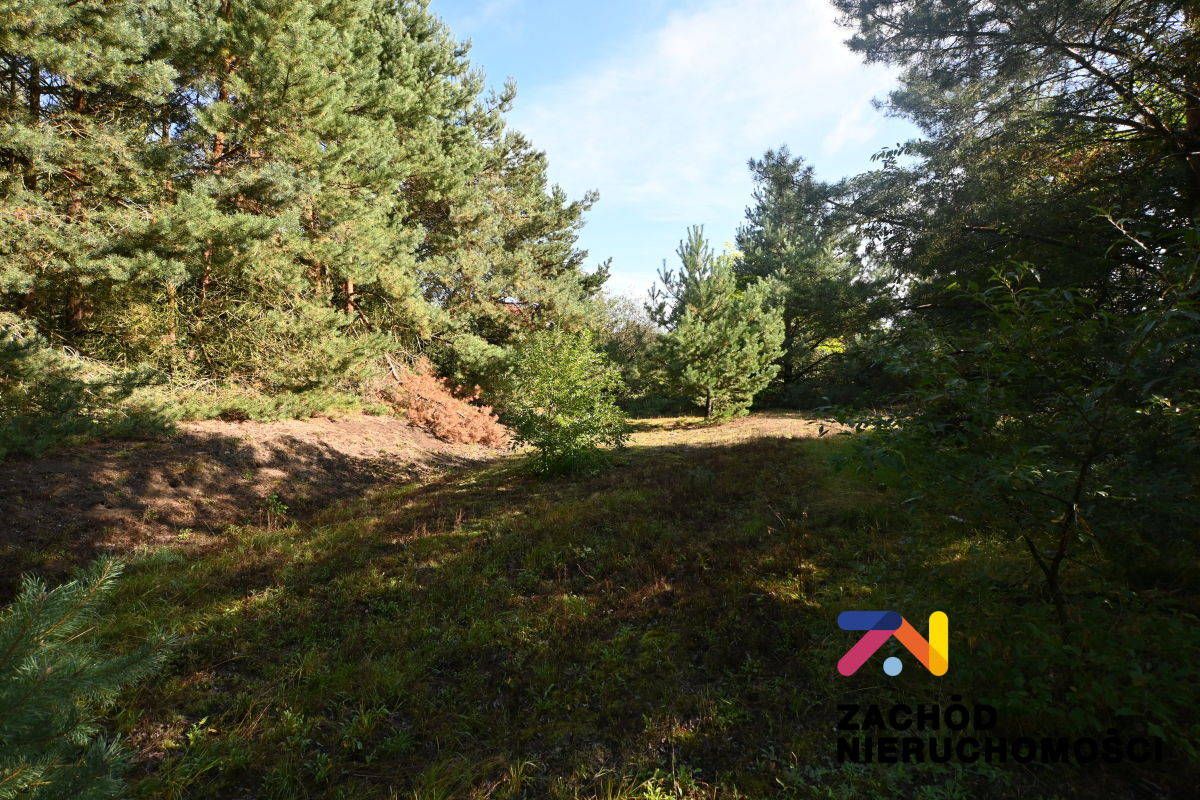 Działka budowlana Radomia. Zdjęcie 2