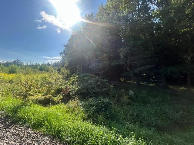 Działka siedliskowa Łomnica, ul. Karpnicka. Zdjęcie 6